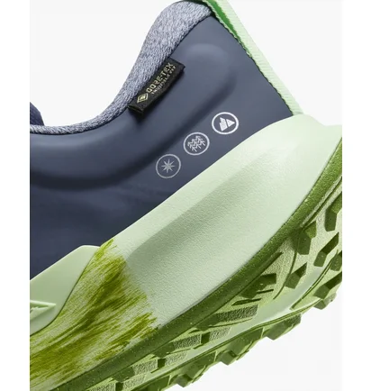 Кросівки жіночі Nike Juniper Trail 2 Gore-Tex Waterproof Trail Running Shoes Blue FB2065-403