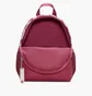 Рюкзак дитячий Nike Brasilia Just Do It Mini Bordo DR6091-634