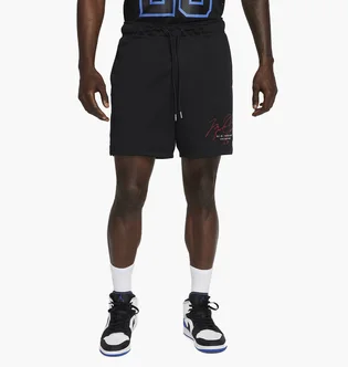 Шорти чоловічі Air Jordan Mens Mesh Shorts Black Dh9048-010