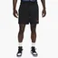 Шорти чоловічі Air Jordan Mens Mesh Shorts Black Dh9048-010