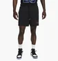 Шорты мужские Air Jordan Mens Mesh Shorts Black Dh9048-010