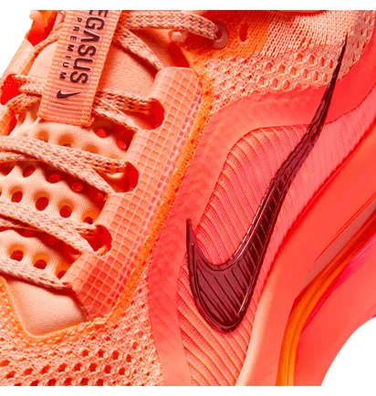 Кросівки жіночі Nike Pegasus Red HQ2593-802