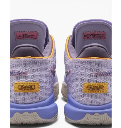 Кроссовки мужские Nike Lebron 20 Violet Dj5423-500