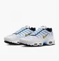 Кросівки чоловічі Nike Air Max Plus MenS Shoes White DM0032-101