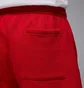 Шорты мужские Air Jordan Brk Lbr Gfx Red IB7910-687