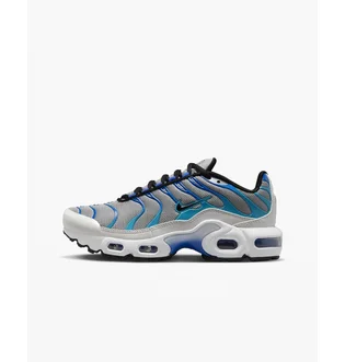 Кроссовки детские Nike Air Max Plus Grey CD0609-019
