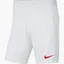 Шорты мужские Nike Park Iii White Bv6855-103