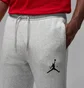 Штаны мужские Air Jordan Jumpman Fleece Grey IM9793-050