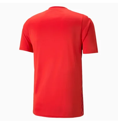 Футболка чоловіча Puma Teamultimate Red 705371-01