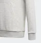 Худи детское Adidas Essentials Sportswear Grey GN4019