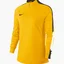 Кофта жіноча Nike Long-Sleeve T-Shirt W Nk Dry Acdmy18 Dril Top Ls Yellow 893710-719
