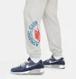 Штани чоловічі Nike Throwback Athletic Club Joggers Grey DR9848-063