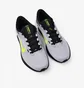 Кроссовки мужские Nike Winflo 10 Road Running Shoes Grey DV4022-007