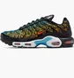 Кросівки чоловічі Nike Air Max Plus Multi DX2665-001