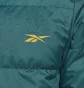 Куртка унисекс Reebok Outerwear Urban Green/Blue Hi0920