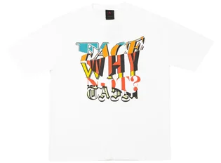 Футболка чоловіча Air Jordan Why Not? X Facetasm Apparel White DC4701-100