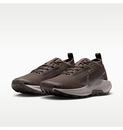 Кроссовки женские Nike Pegasus Trail 5 Brown FQ0912-012