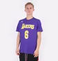 Футболка мужская Nike Nba Los Angeles Lakers Statement Edition Lebron James Violet CV9986-557