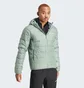 Куртка чоловіча Adidas Terrex Multi Light Down Hooded Green IP3549