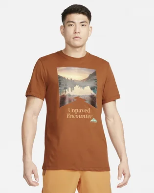 Футболка мужская Nike Trail Dri-Fit Running T-Shirt Brown FD0120-246