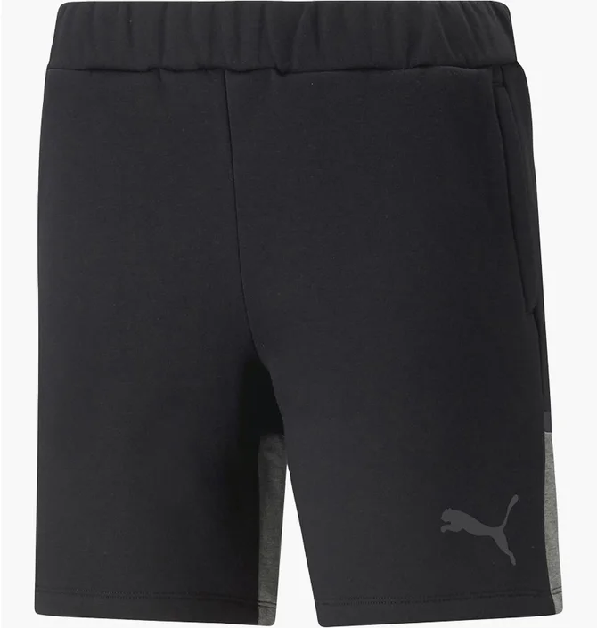 Шорты женские Puma Wmn Teamcup Casuals Shorts Black 658423-003