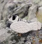 Кросівки чоловічі Adidas Ax2S Hiking Shoes Beige IE0816