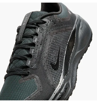 Кросівки чоловічі Nike Air Zoom Pegasus 41 Gtx Black FQ1356-001