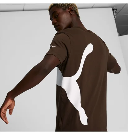 Футболка мужская Puma Oversized Logo Tee Brown 588544-63