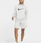 Шорты мужские Nike Dri-Fit White DA5556-063