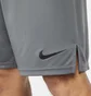 Шорти чоловічі Nike Dri-Fit Grey DD1887-068