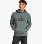 Худи мужское Adidas Future Icons Badge Of Sport Hoodie Green IN3324
