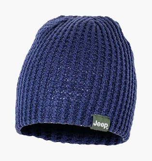 Шапка унисекс Jeep Reversible Tricot Hat J22W Blue O102597-K876