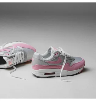 Кросівки жіночі Nike Air Max 1 87 Metallic/Pink HF5387-001