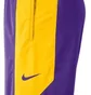 Шорти чоловічі Nike Lal Mnk Df Short Pract 18 Violet/Yellow Aj5077-504