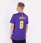 Футболка мужская Nike Nba Los Angeles Lakers Statement Edition Lebron James Violet CV9986-557