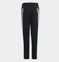Штани дитячі Adidas Future Icons 3-Stripes Ankle-Length Sportswear Black HR6313