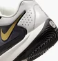 Кроссовки мужские Nike Kd17 White/Grey FJ9487-003