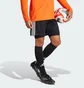 Шорты мужские Adidas Squadra 25 Black JF2483