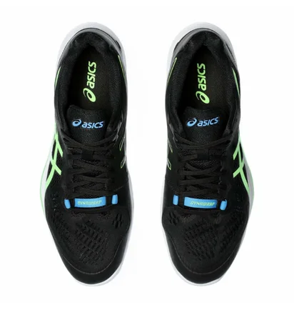 Кроссовки мужские Asics Sky Elite Ff 2 Black 1051A064-005