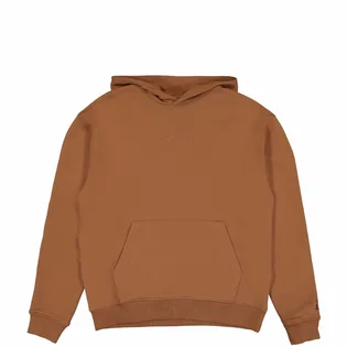 Худі чоловіче Air Jordan Wordmark Fleece Hoodie Brown FJ1966-281