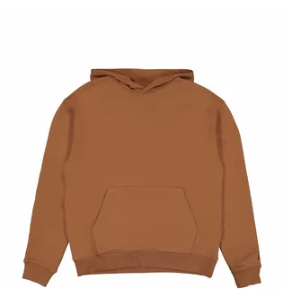 Худи мужское Air Jordan Wordmark Fleece Hoodie Brown FJ1966-281