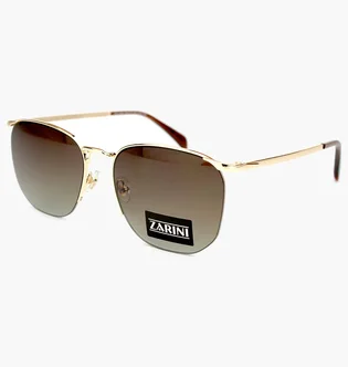 Солнцезащитные очки мужские Zarini Gold/Brown 31809-C101
