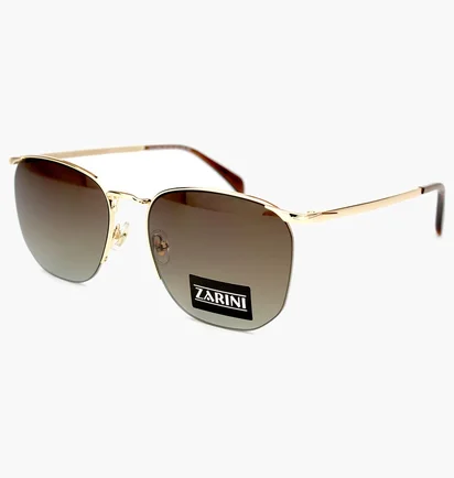Солнцезащитные очки мужские Zarini Gold/Brown 31809-C101