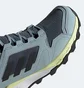 Кроссовки женские Adidas Terrex TR Agravic Gore-tex Light Blue EF6882