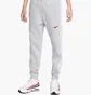 Штани чоловічі Nike Nsw Sp Flc Jogger Bb Grey FN0246-012