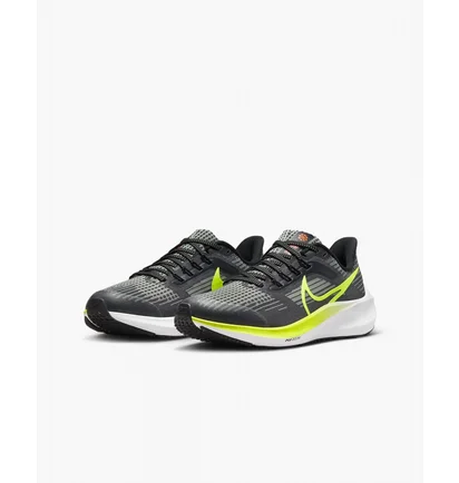 Кроссовки детские Nike Air Zoom Pegasus 39 Gs Grey DM4015-002