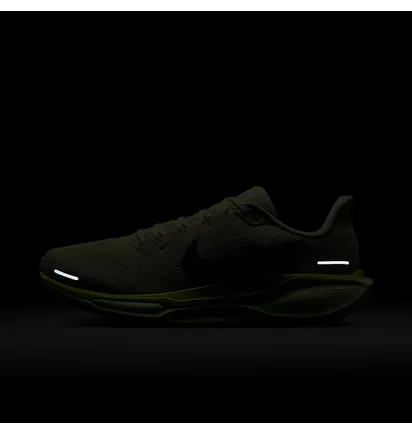 Кроссовки мужские Nike Air Zoom Pegasus 41 Green FD2722-303