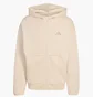 Толстовка чоловіча Adidas Future Icons Small Logo Beige KD7665