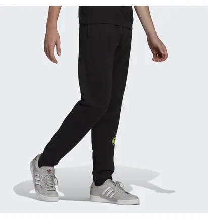 Штаны мужские Adidas Graphics Behind The Trefoil Sweat Black HC7982
