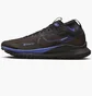 Кросівки чоловічі Nike React Pegasus Trail 4 Gore-Tex Brown Fb2193-200